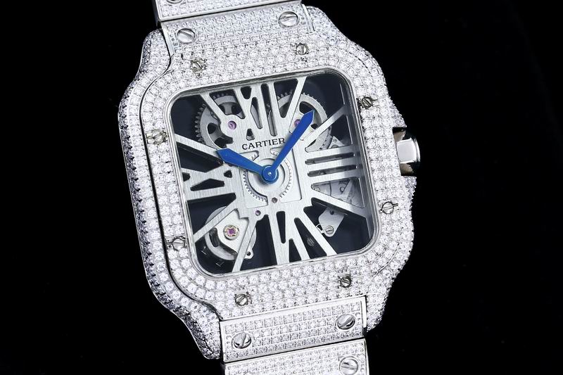 Cartier watch 110924